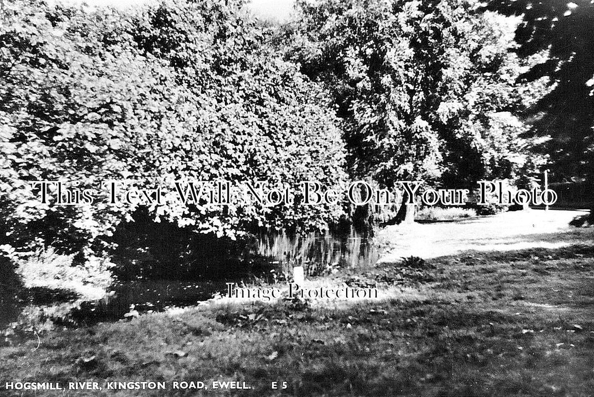 SU 3129 - Hogsmill River, Kingston Road, Ewell, Surrey c1955