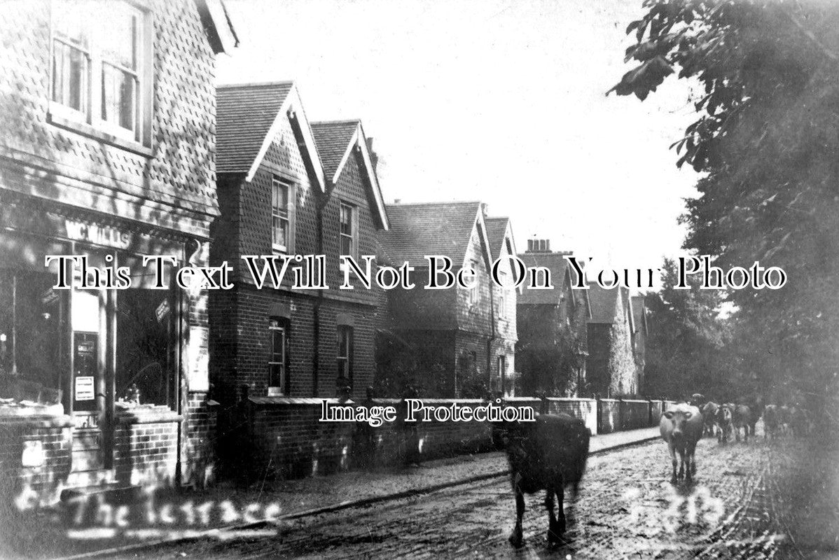 SU 3397 - The Terrace, Brookwood, Surrey c1907