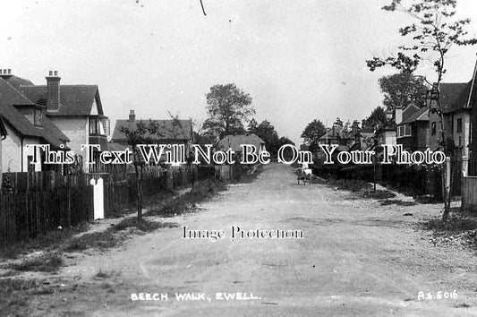 SU 554 - Beech Walk, Ewell, Surrey c1915