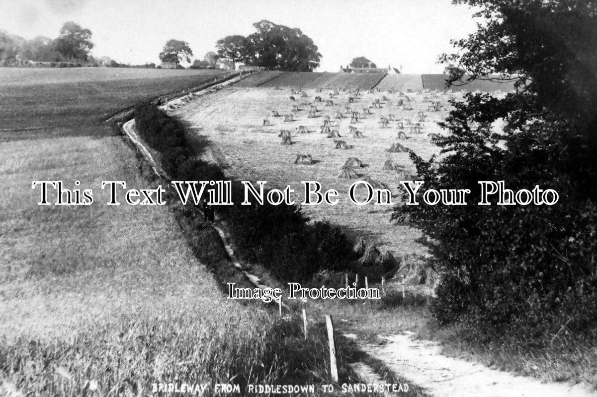 SU 626 - Bridleway From Riddlesdown To Sanderstead, Surrey c1910 – JB ...