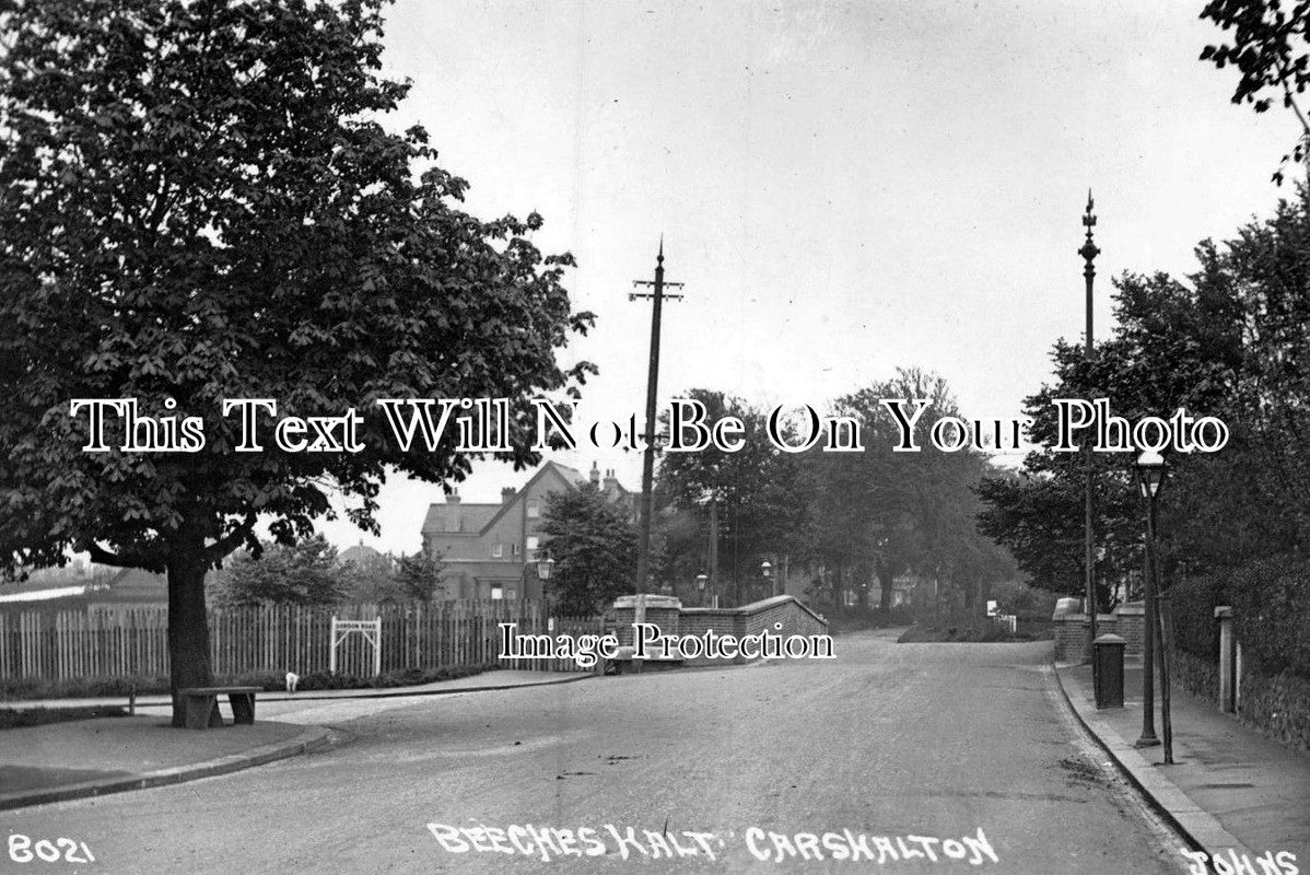 SU 845 - Beeches Halt, Carshalton, Surrey