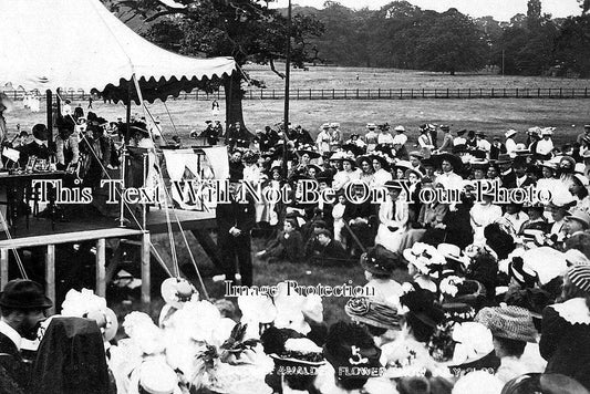 SU 96 - New Malden Flower Show, Surrey 1909