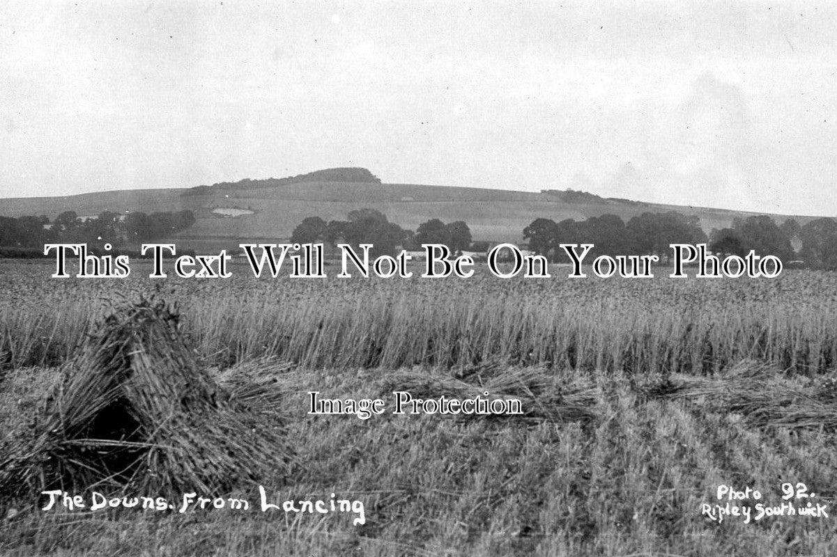 SX 1095 - The Downs From Lancing, Sussex