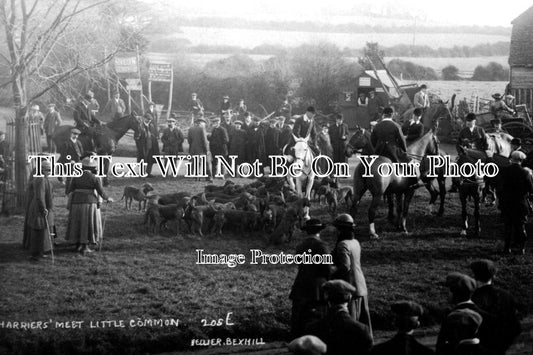 SX 1097 - Harriers Meet Little Common, Bexhill, Sussex c1910