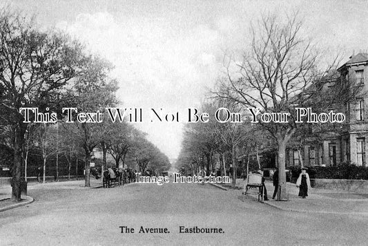 SX 135 - The Avenue, Eastbourne, Sussex c1918