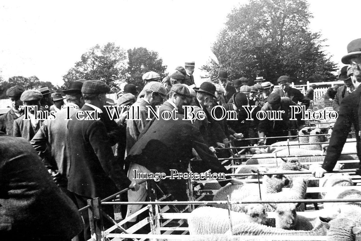 SX 1361 - Market Steyning Auction, Sussex