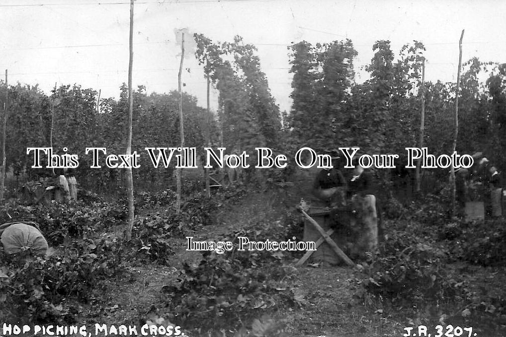 SX 143 - Hop Picking, Mark Cross, Sussex