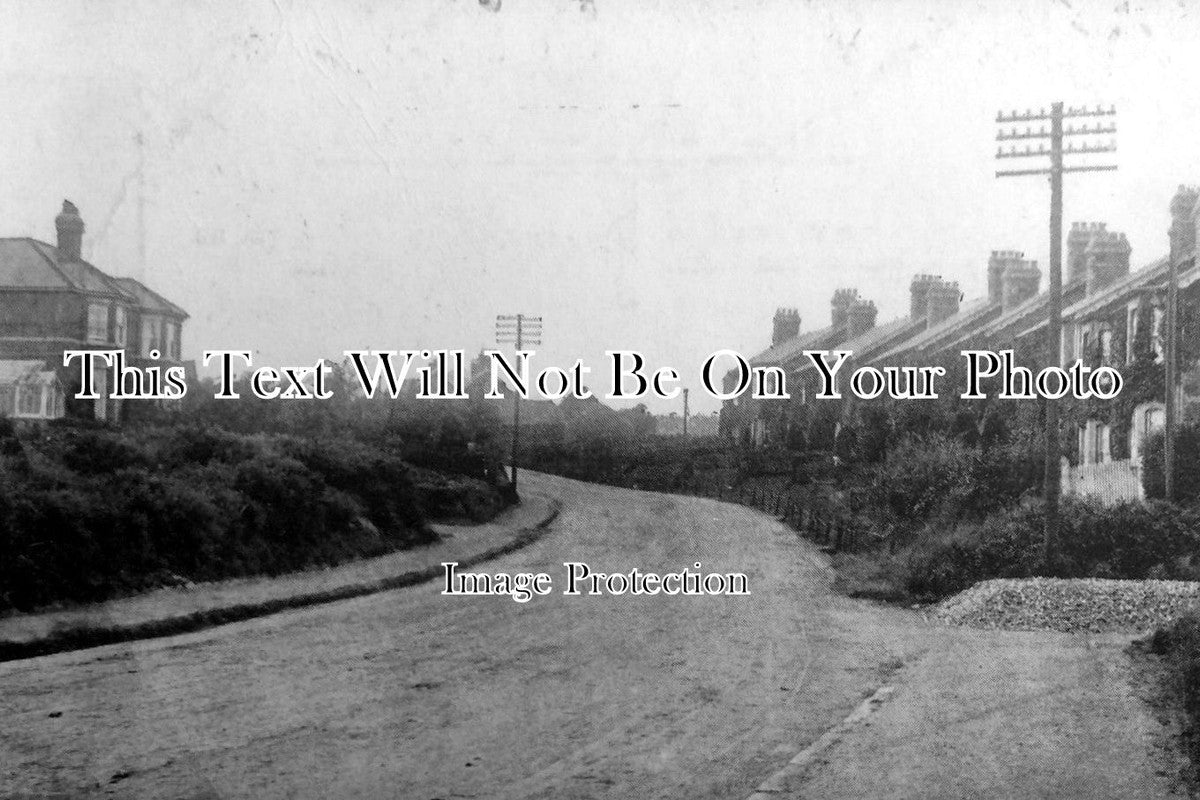 SX 155 - Rose Hill Garden, Jarvis Brook, Crowborough, Sussex c1908