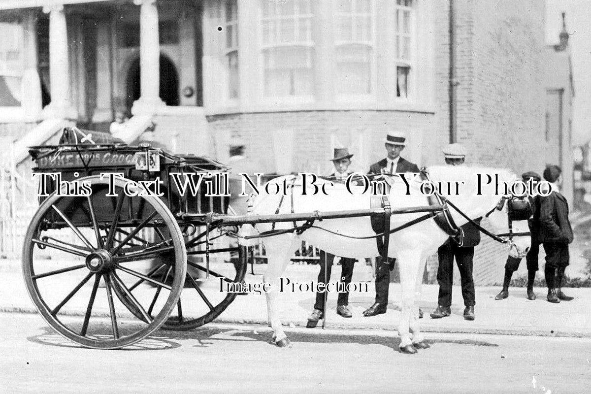 SX 1648 - Duke Bros Grocers Horse & Cart, Bexhill, Sussex