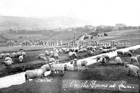 SX 1657 - On The Downs At Lewes, Sussex c1918