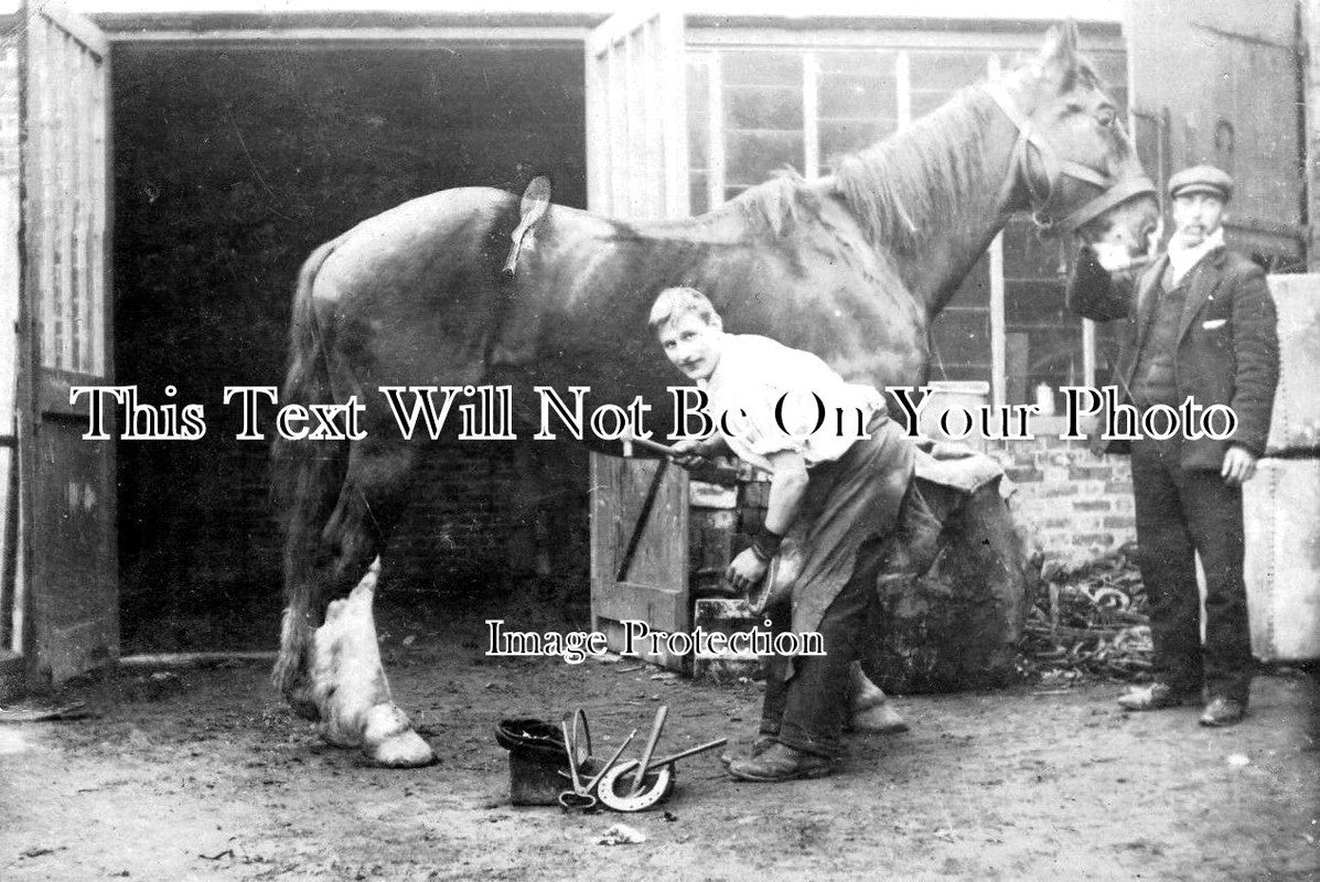 SX 1711 - Horse Being Shoed, Worthing, Sussex c1905