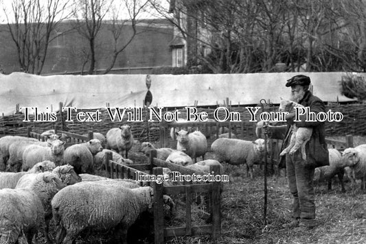 SX 195 - Rottingdean, Sussex