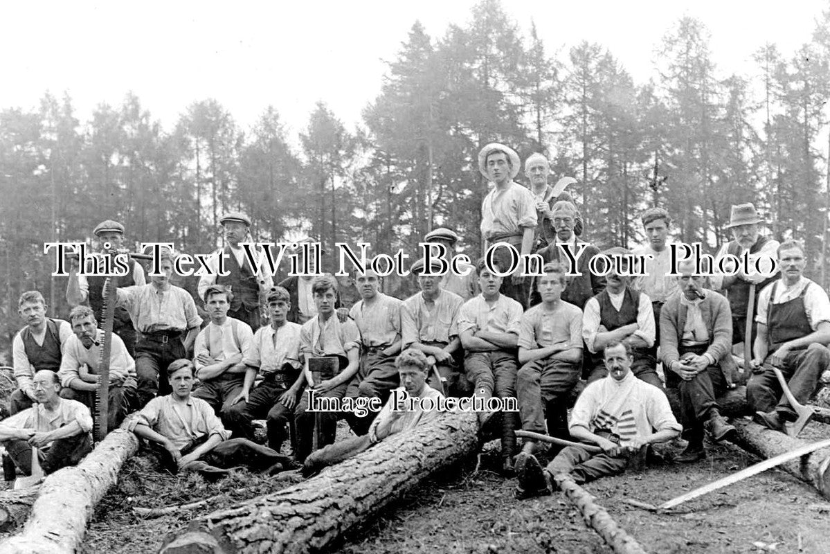 SX 1959 - Colfes School, Lewisham, Tree Cutting For WW1 1916 Scotland