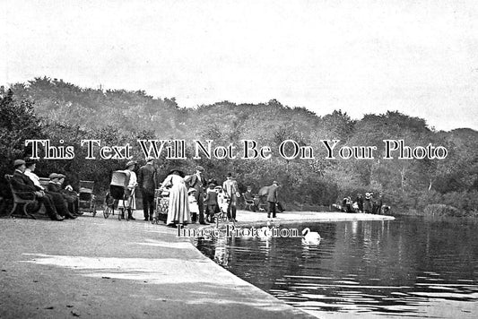 SX 1980 - Queens Park, Brighton, Sussex