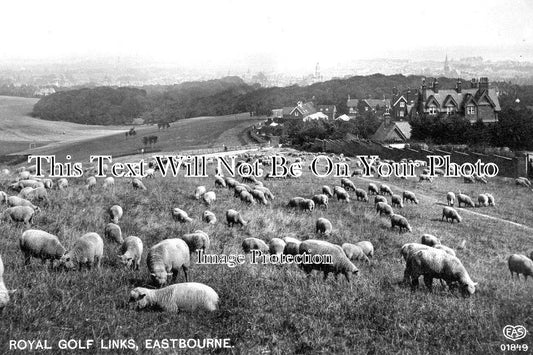 SX 2434 - Royal Golf Links, Eastbourne, Sussex c1913