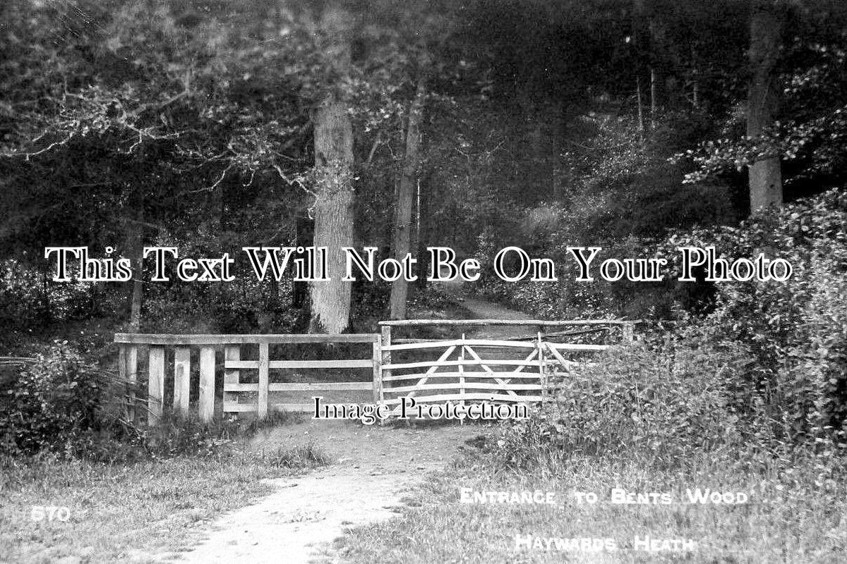 SX 2481 - Entrance To Bents Wood, Haywards Heath, Sussex