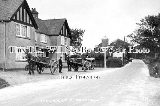 SX 2569 - The Crocodile, Dane Hill, Sussex