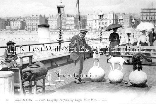 SX 2629 - Prof Doughtys Performing Dogs, Brighton West Pier, Sussex
