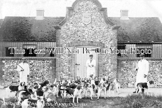 SX 2644 - Brookside Harriers Kennels, Brighton, Sussex c1908