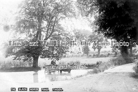 SX 2685 - Black Horse Pond, Findon, Sussex c1909