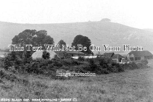 SX 2695 - Blackcap, Sussex