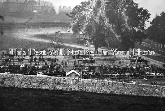 SX 280 - Lewes Cattle Market, Sussex