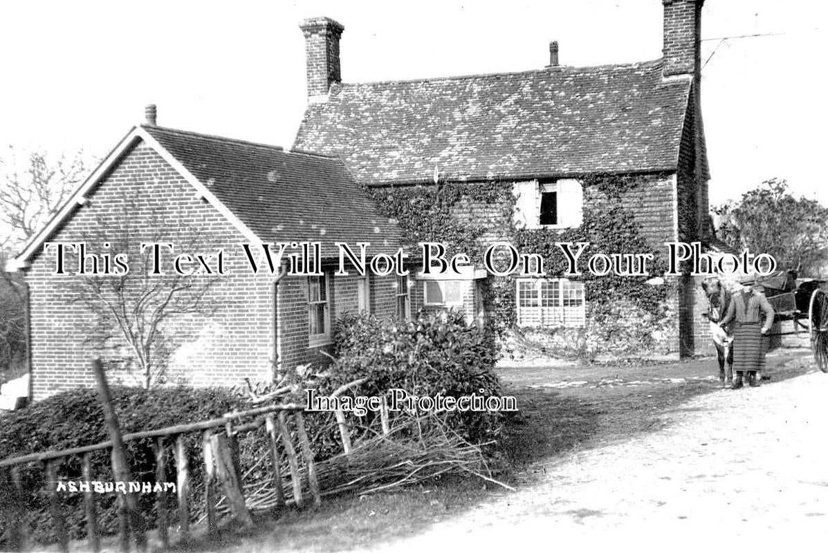 SX 2844 - Ashburnham, Sussex