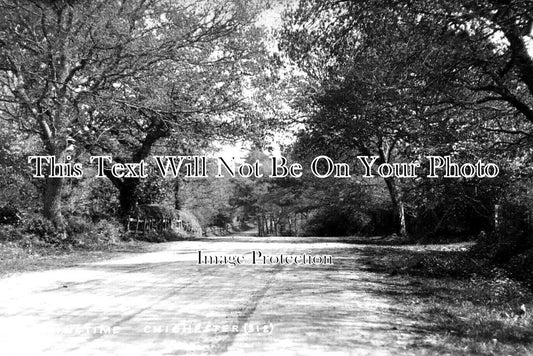 SX 2959 - Springtime, Chichester, Sussex