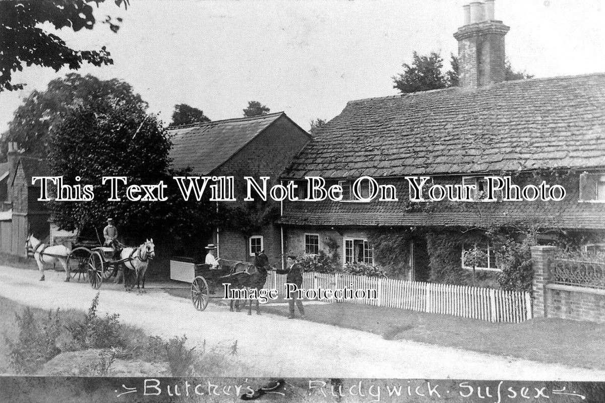 SX 298 - Rudgwick Butchers, Sussex c1905