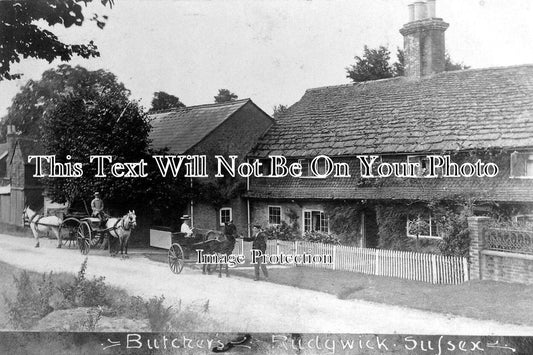 SX 298 - Rudgwick Butchers, Sussex c1905