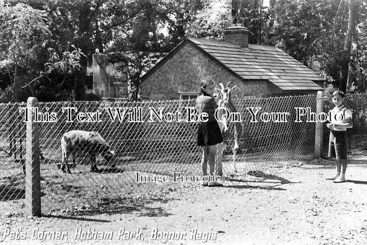 SX 3171 - Pets Corner, Hotham Park, Bognor Regis, Sussex c1955