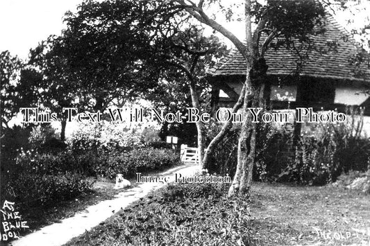 SX 3309 - The Blue Idol, Coolham, Sussex c1935