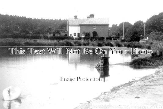 SX 3421 - The Pond, Storrington, Sussex c1910