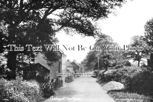 SX 3589 - Gallypot, Hartfield, Sussex c1912