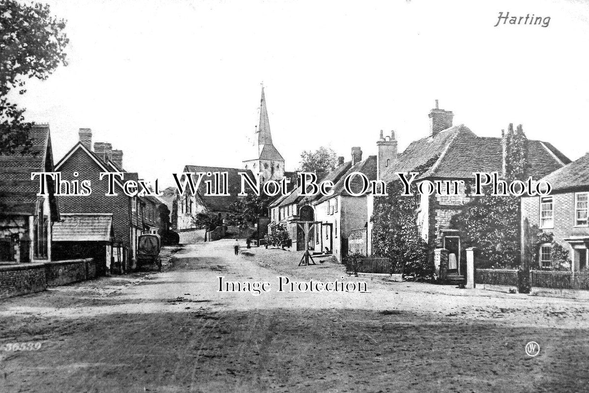 SX 3639 - Harting, Sussex c1909