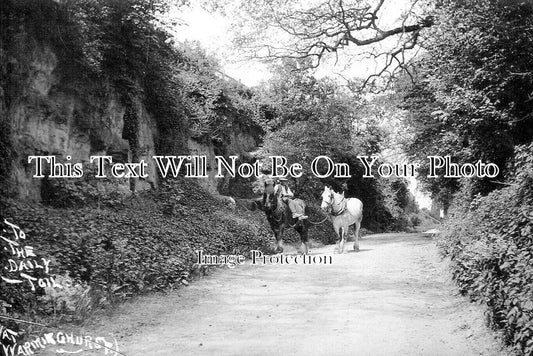 SX 3685 - Warminghurst, Sussex