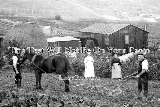 SX 3773 - Farming Scene, Brighton, Sussex