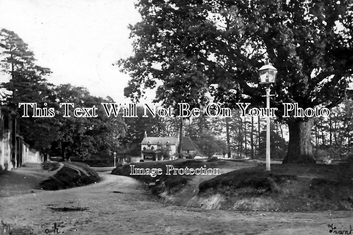 SX 379 - Frant Firs, Sussex c1905