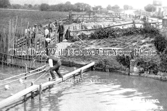 SX 3808 - Sheep Washing, Pevensey, Sussex
