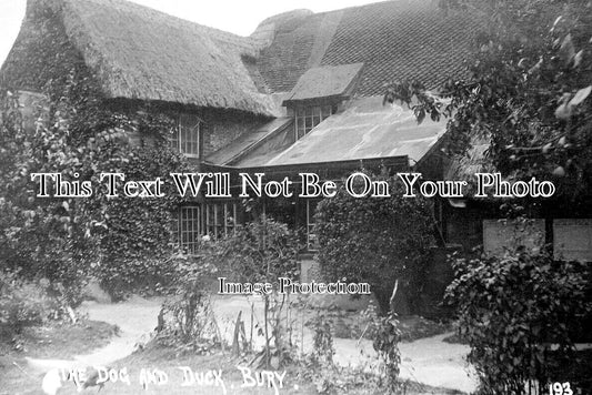 SX 3910 - The Dog & Duck Pub, Bury, Sussex c1915