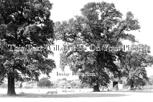 SX 3913 - Horsham Cricket Field, Sussex c1968