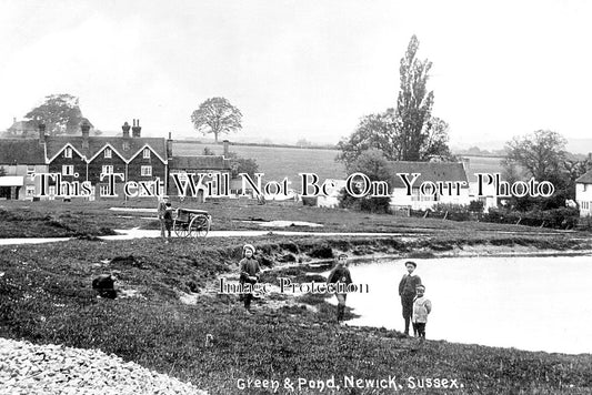 SX 4313 - Green & Pond, Newick, Sussex