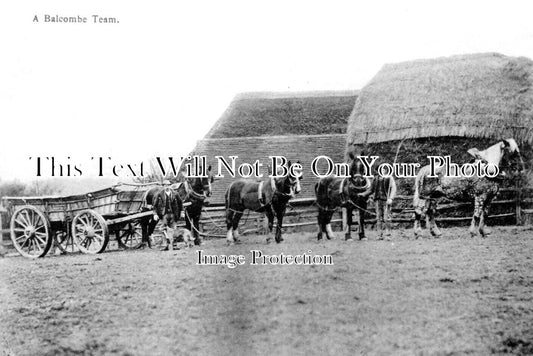 SX 4516 - A Balcombe Team, Sussex c1905