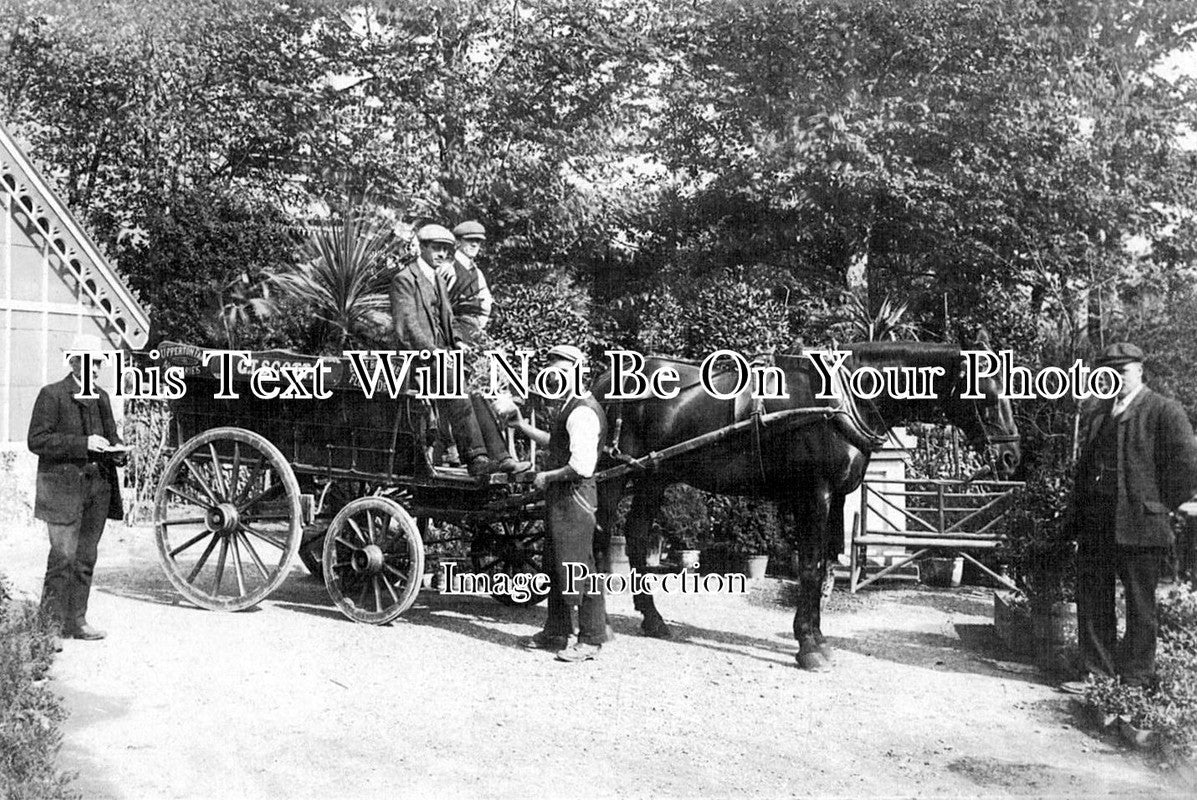 SX 466 - Upperton Farm Nurseries, Eastbourne, Sussex c1909