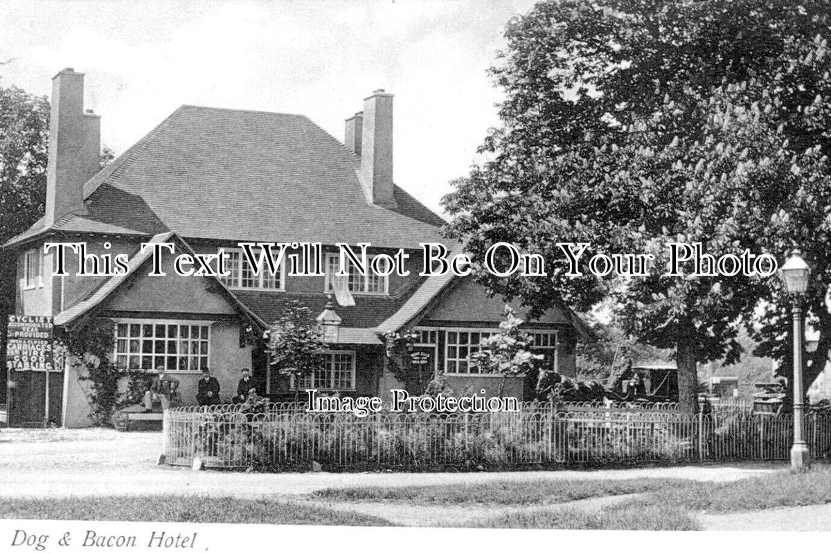 SX 4702 - Dog & Bacon Hotel, Horsham, Sussex c1906