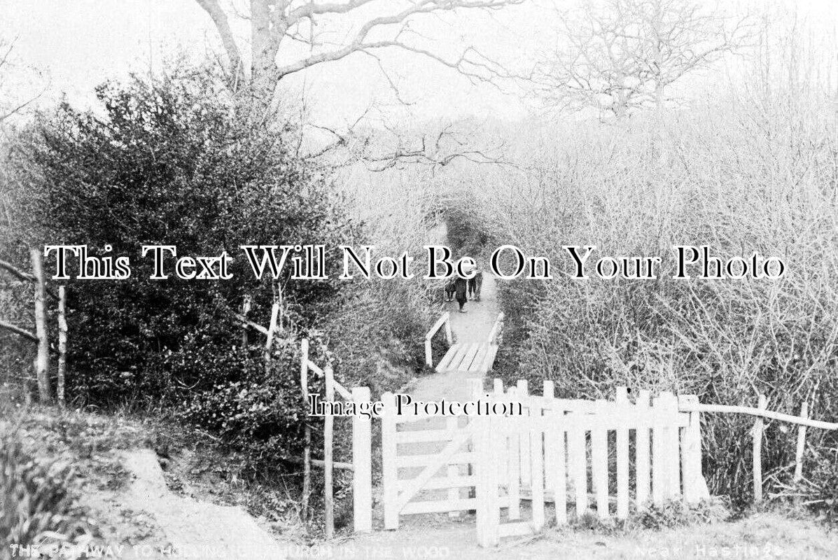 SX 4710 - Pathway To Church In The Wood, Hollington, Sussex c1909