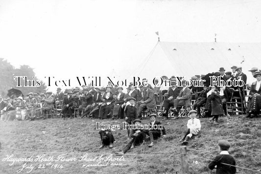 SX 4761 - Haywards Heath Flower Show, Sussex 1914