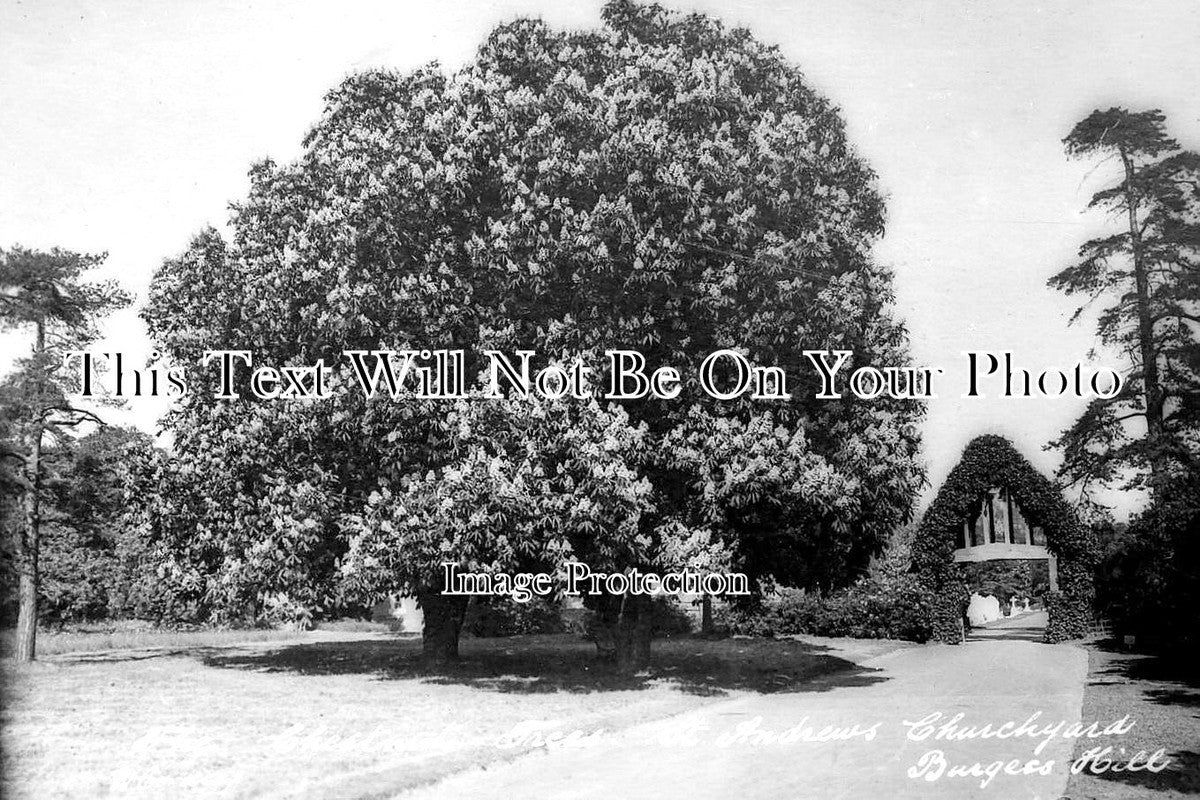 SX 4774 - The Chestnut Tree, St Andrews Church, Burgess Hill, Sussex c1931