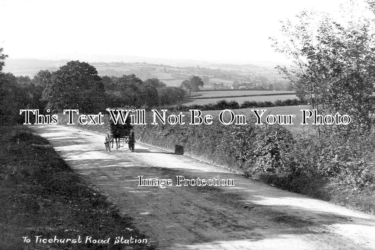 SX 4791 - Ticehurst Road Station, Sussex c1917