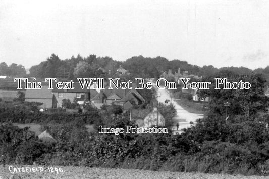 SX 503 - Catsfield, Sussex c1910